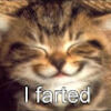 pat_kapsner